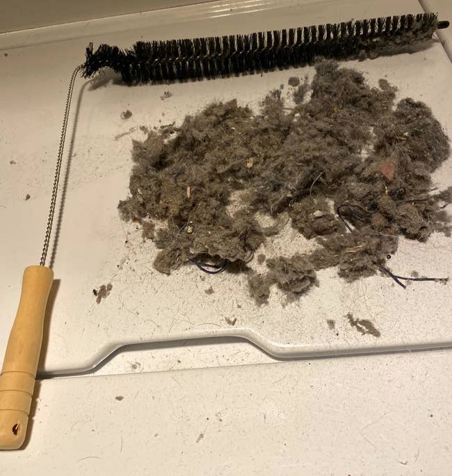 reviewer photo showing the dryer lint brush next to a pile of dust and lint on their dryer 