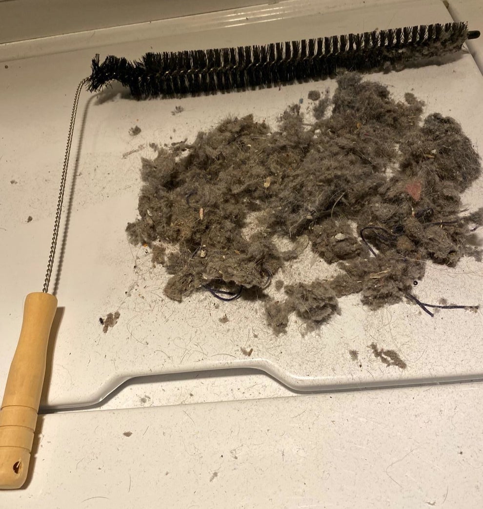 reviewer photo showing the dryer lint brush next to a pile of dust and lint on their dryer