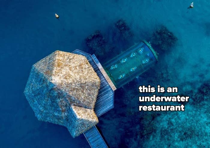 the resort with text &quot;this is an underwater restaurant&quot; 
