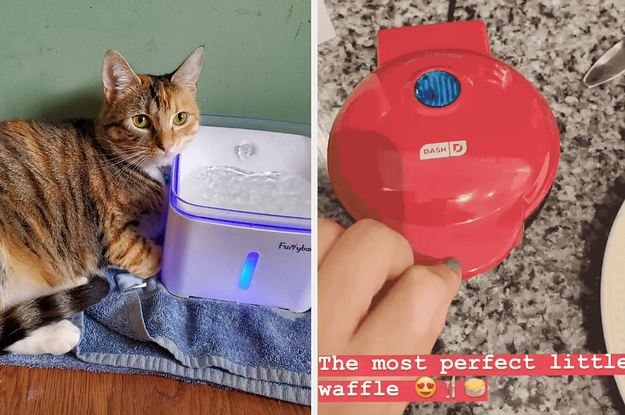 A reviewer's photo of their cat water fountain; a BuzzFeeder's photo of a Dash Mini waffle maker