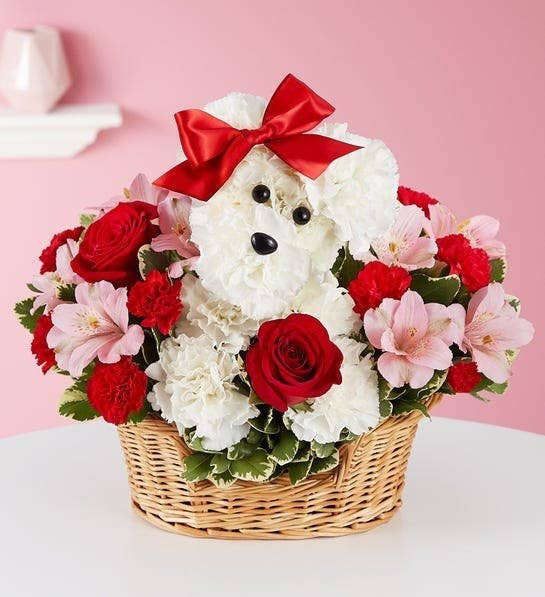 Detroit's Favorite Mascot PAWS To Deliver Flowers For Valentine's