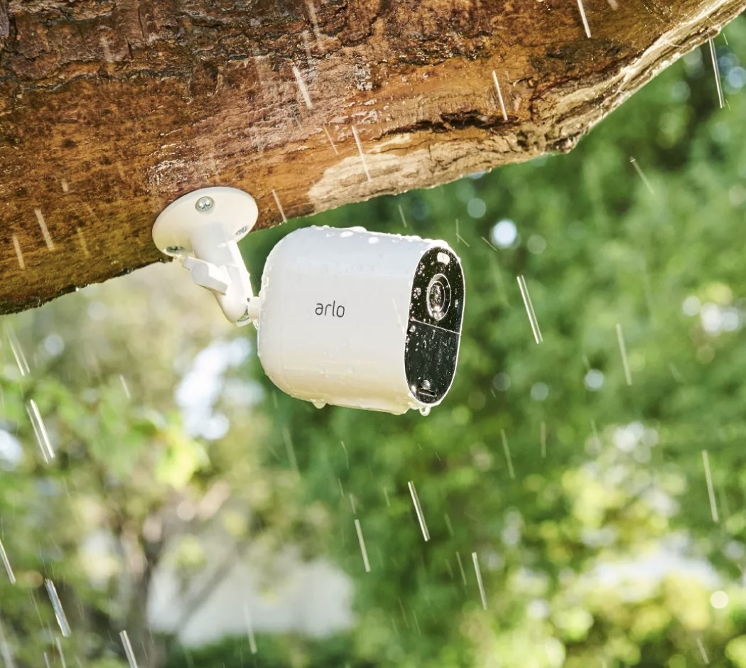 The camera on a tree branch