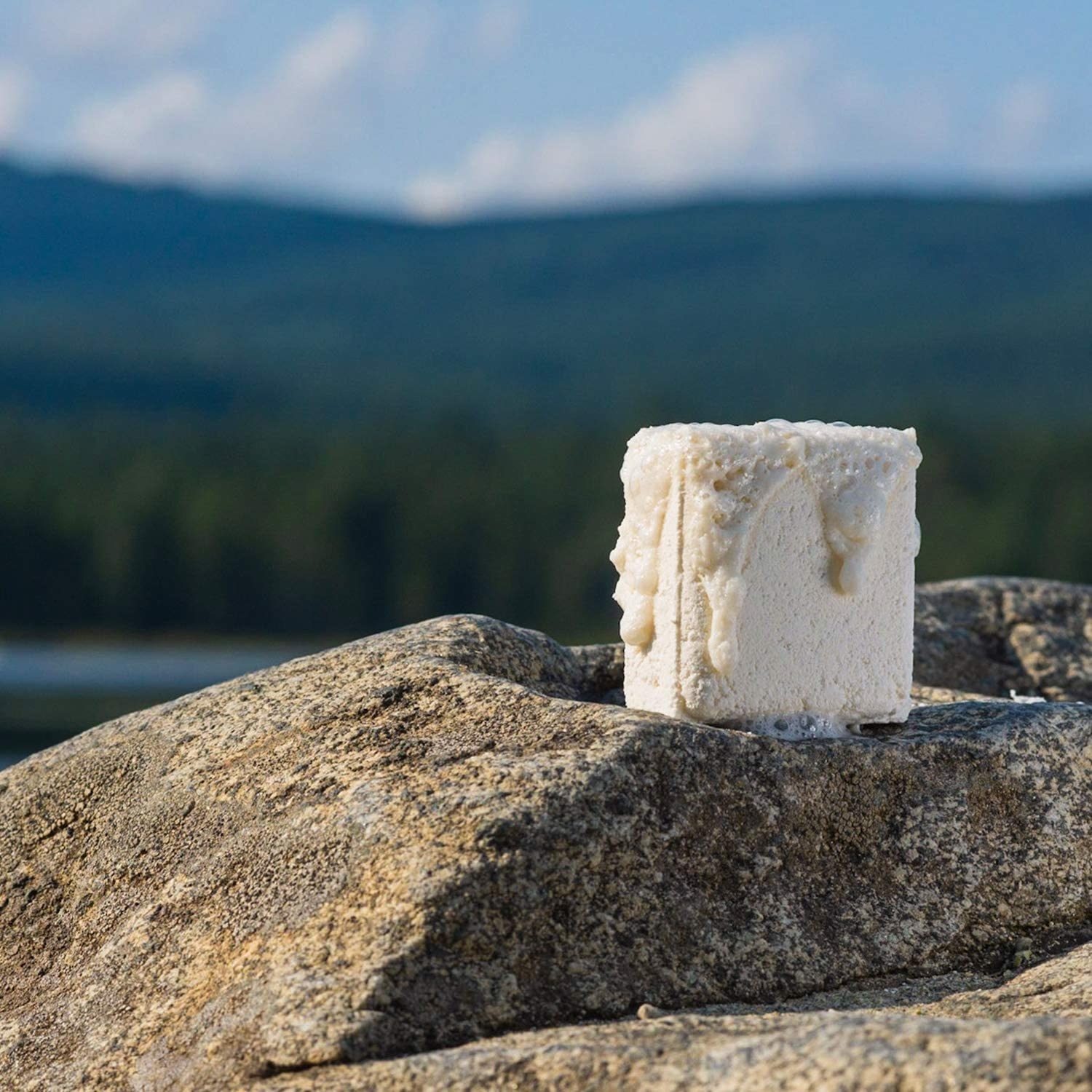 One of the shower steamers perched on a rock with mountains in the background