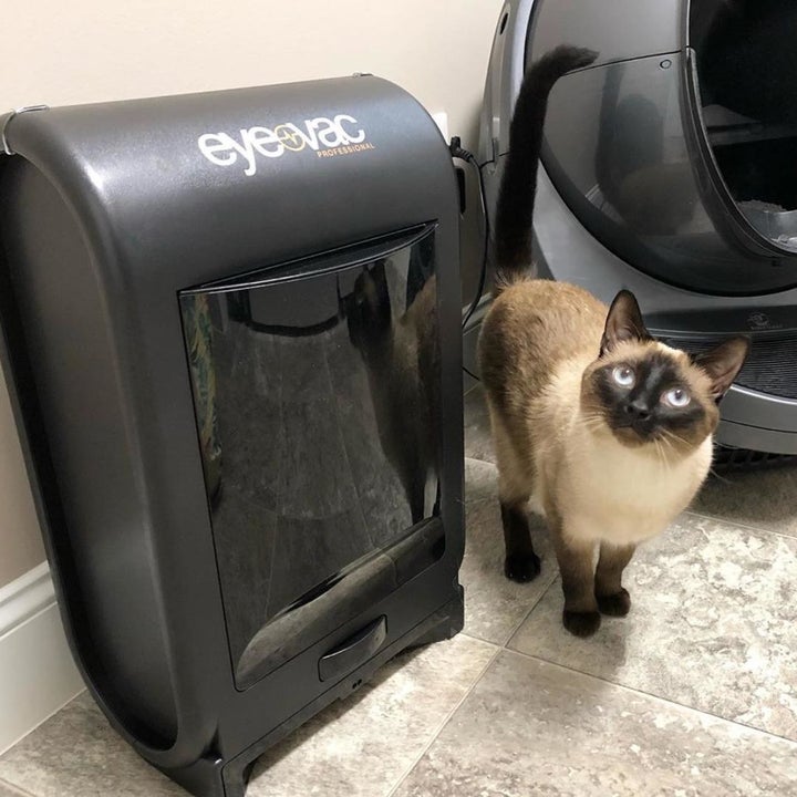 reviewer photo showing cat next to automatic vacuum 