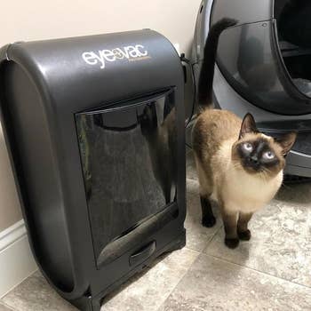 reviewer photo showing cat next to automatic vacuum 