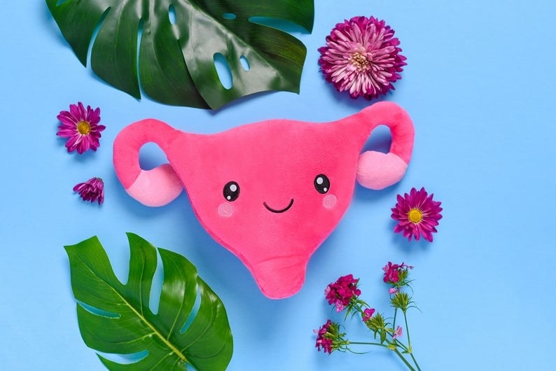 The plush happy face uterus