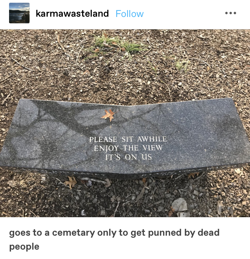 a cemetery bench that says &quot;please sit awhile, enjoy the view, it&#x27;s on us&quot;