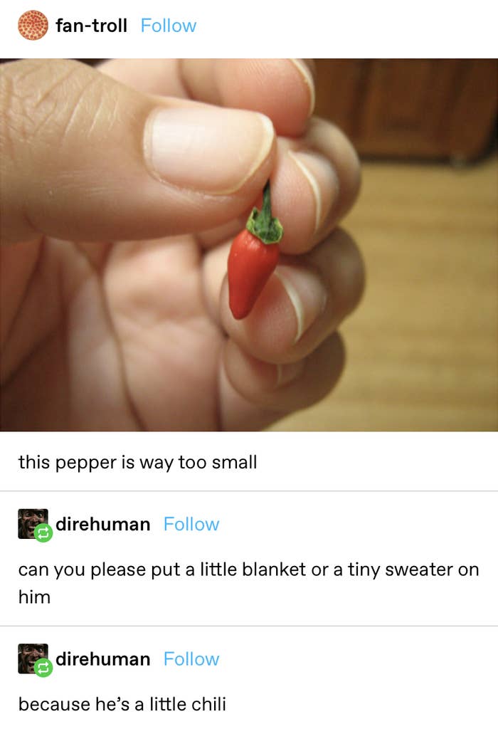 a tiny pepper that someone calls too small — then someone replies that the person should put a sweater on him because he&#x27;s chilly