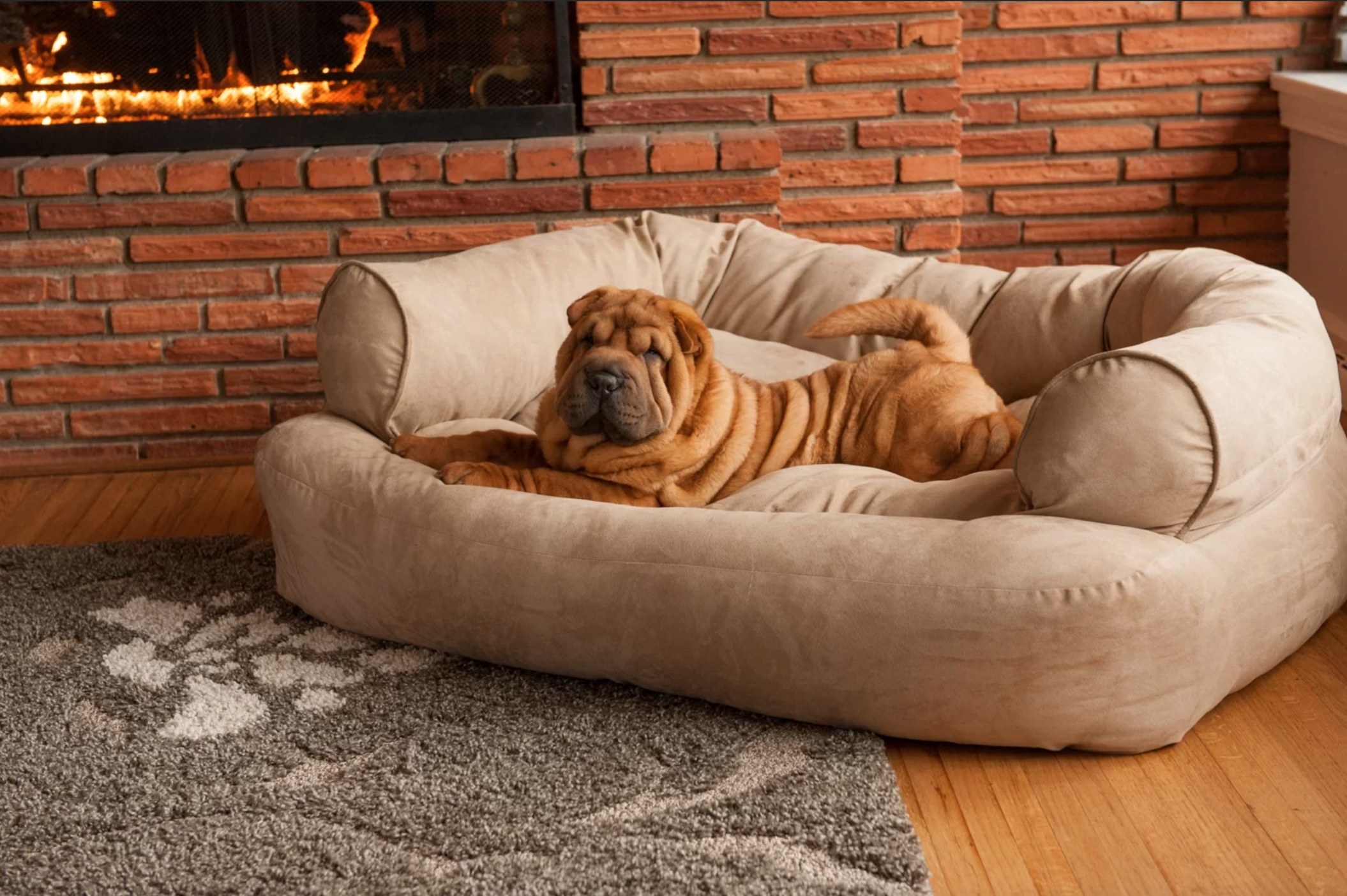 Дом для большой собаки с диваном