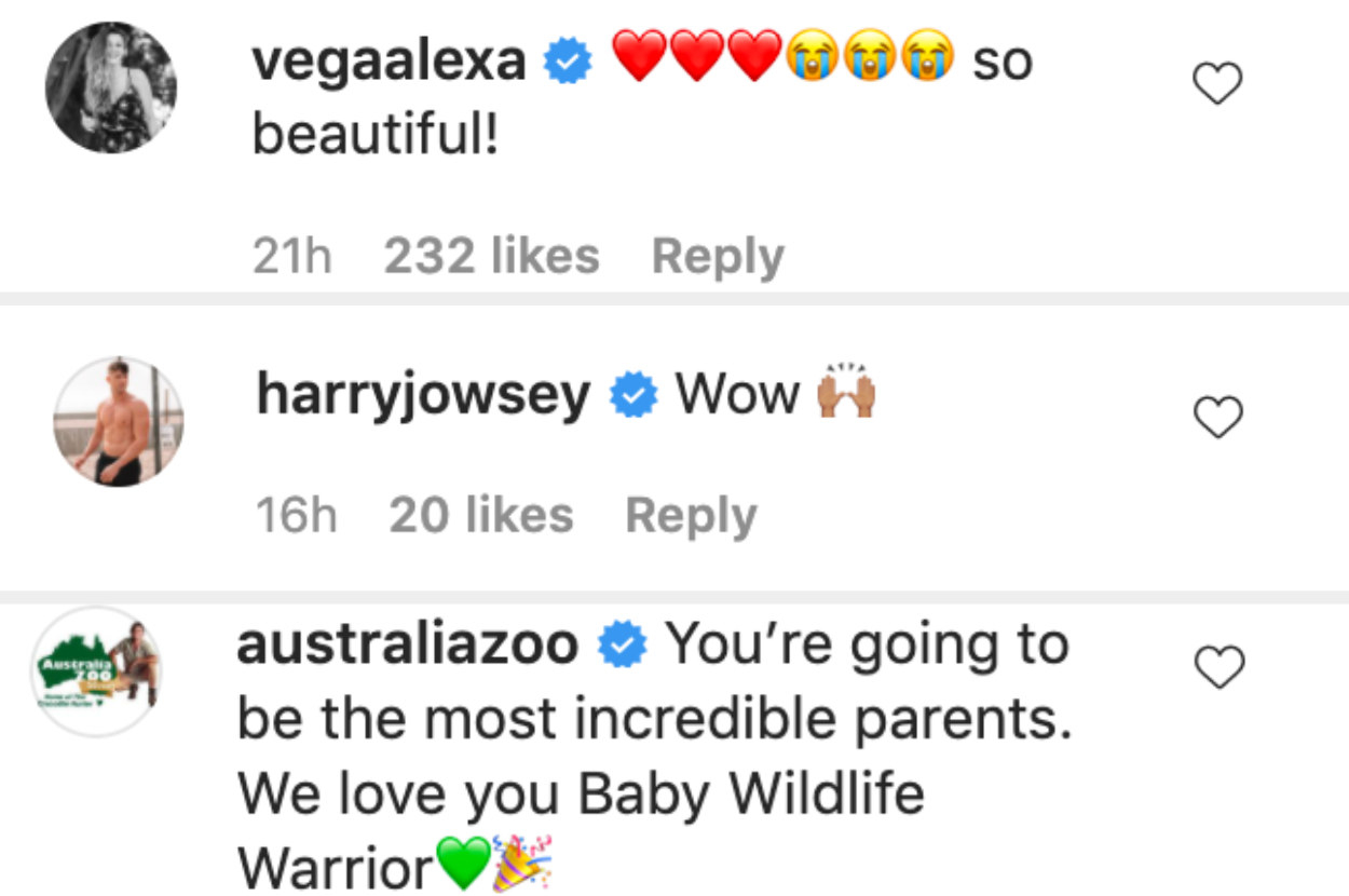 Instagram comments on Bindi Irwin&#x27;s photo