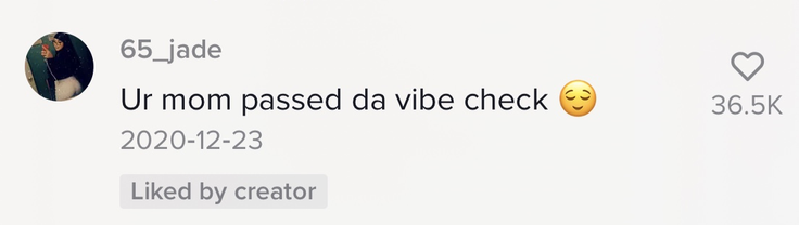 One commenter said, &quot;Your mom passed da vibe check [smiling emoji]