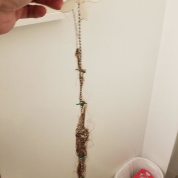Reviewer image showing how much hair the DrainWig pulled out of drain