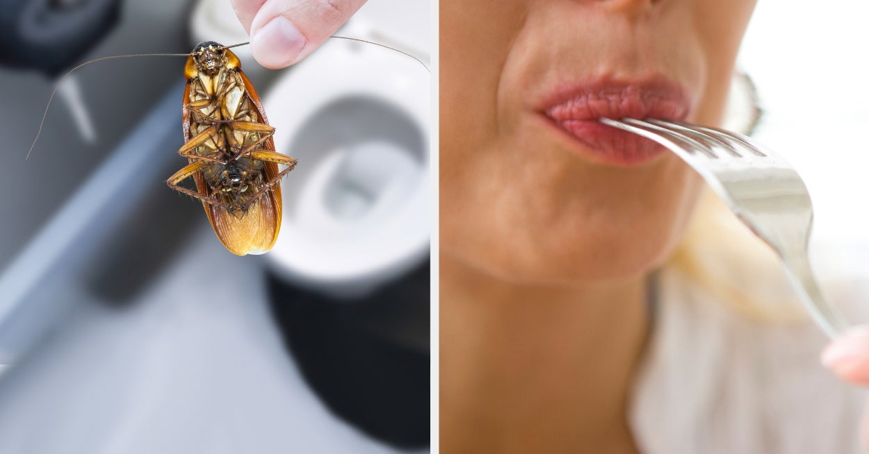 Gross Game Of Would You Rather