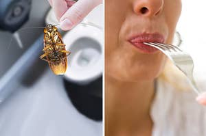A person eating a bug