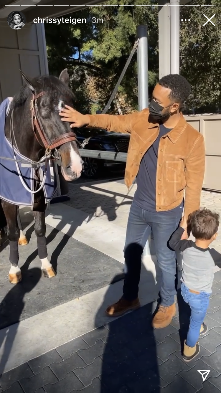 John and Miles pet a horse