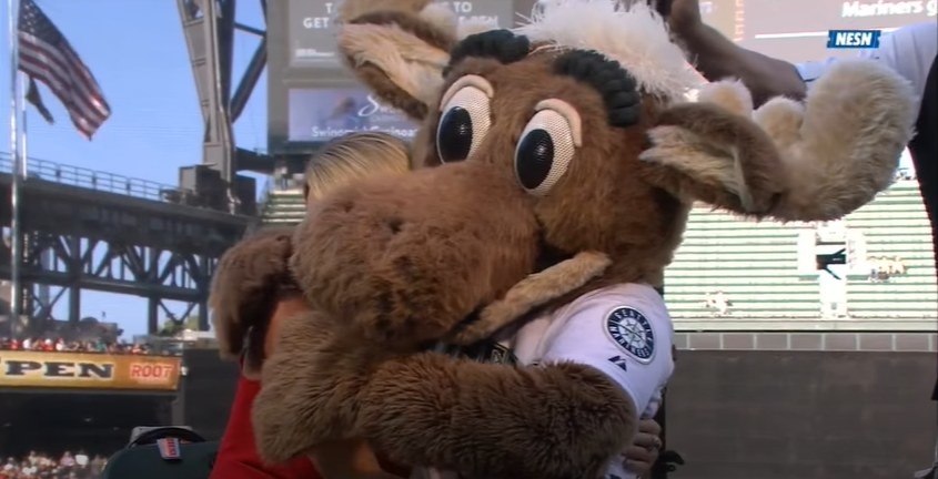 Moose hugging reporter.