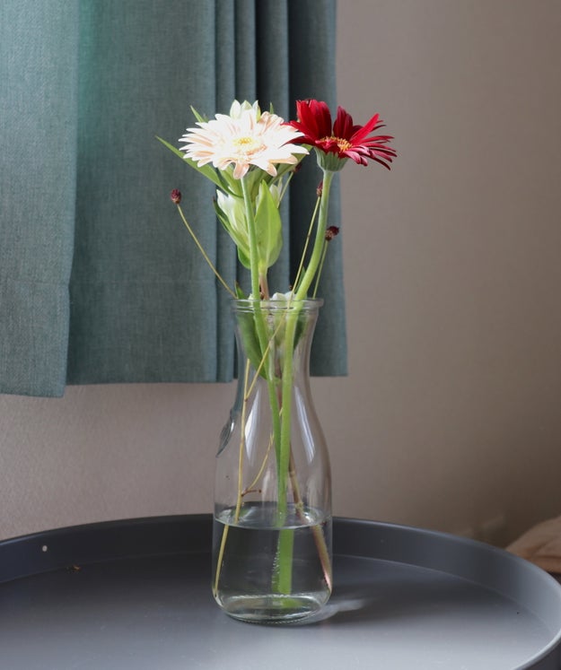 リアルすぎてびっくりした Ikeaの 人工植物 置いてるだけで気分があがります Buzzfeed Japan 最近 お花を買おうか迷ってるんです いら ｄメニューニュース Nttドコモ