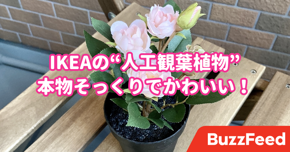 リアルすぎてびっくりした Ikeaの 人工植物 置いてるだけで気分があがります