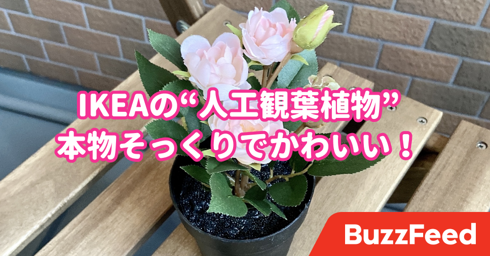 リアルすぎてびっくりした Ikeaの 人工植物 置いてるだけで気分があがります リアルすぎてびっくりした Ikeaの 人工植物 置いてるだけで気分があがります