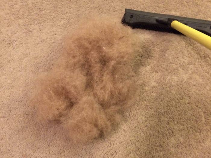 pile of fur from carpet 