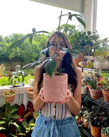 Person holding up large indoor pot with long leafy plant inside 