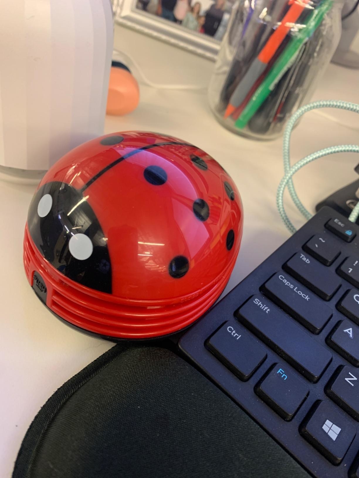 A reviewer's photo of the ladybug vacuum which is roughly the size of a computer mouse
