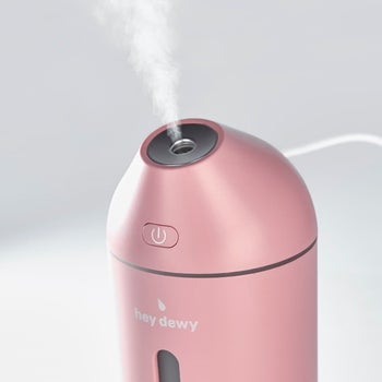 The pink mini humidifier