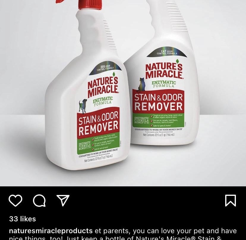The spray bottle of stain remover