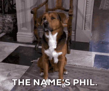 People On Reddit Are Sharing The Worst Pet Names