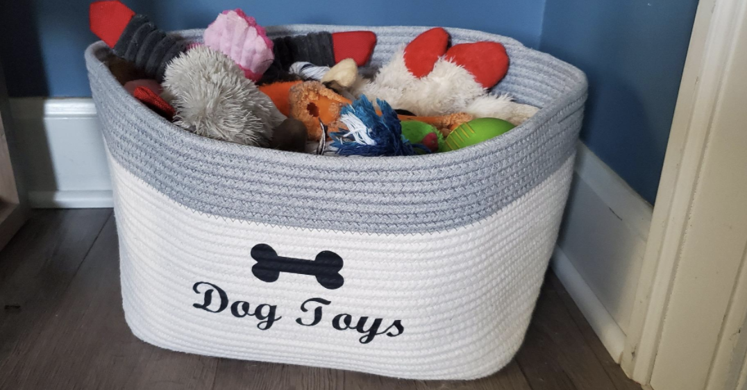 dog toys basket