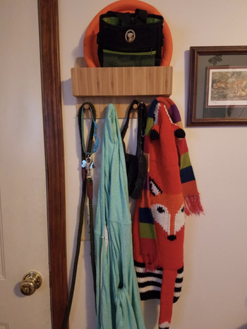 pet wall mounted organizer