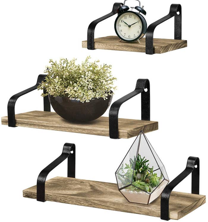 The shelves displaying plants and a clock