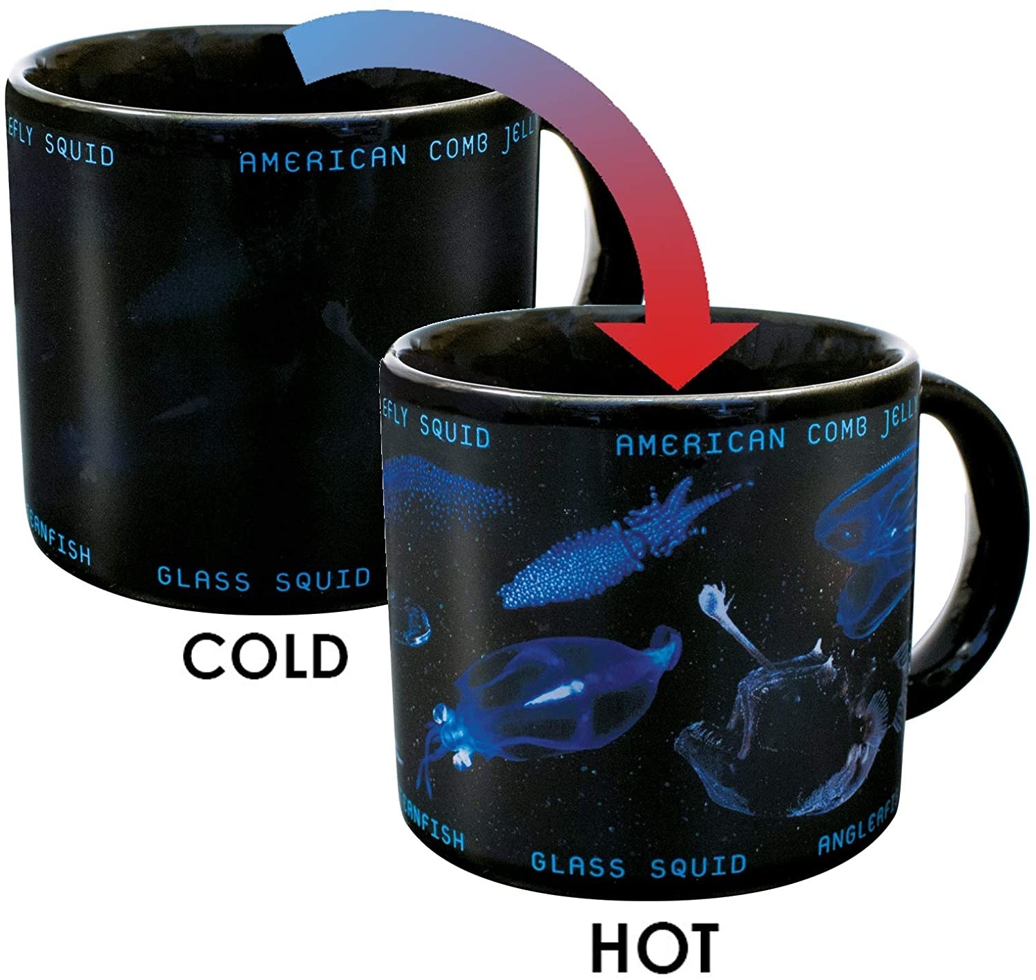 the mug before and after hot water is added to it