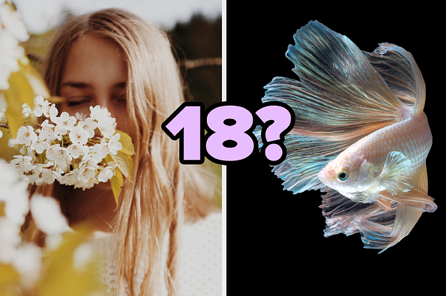 A woman smelling some beautiful white flowers on the left and a rainbow colored fish on the right with