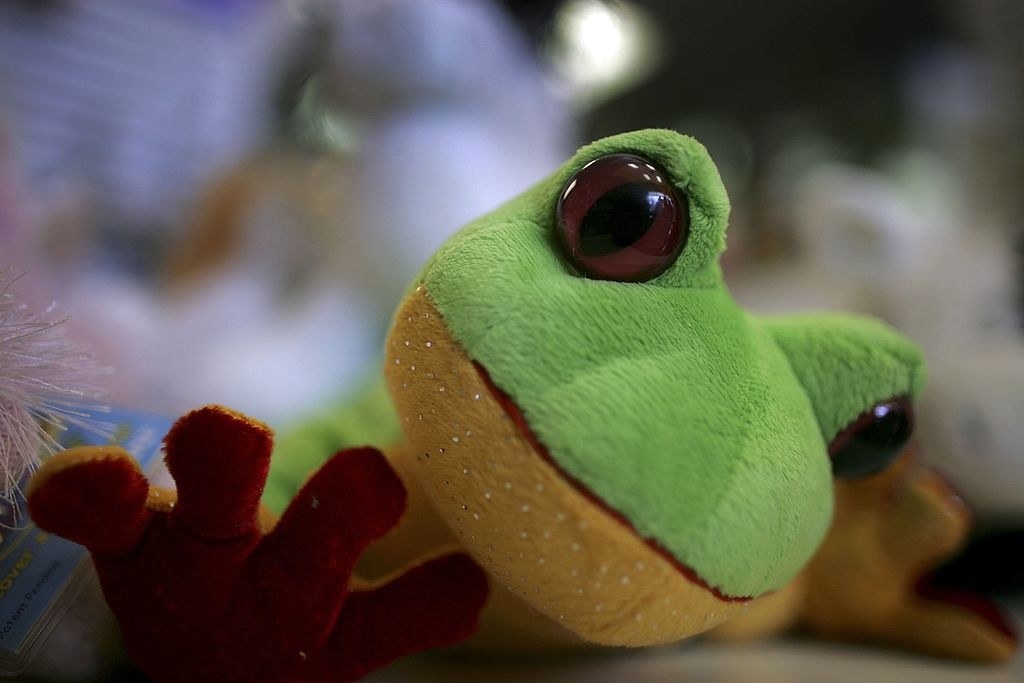 A frog Webkinz toy at a toy shop