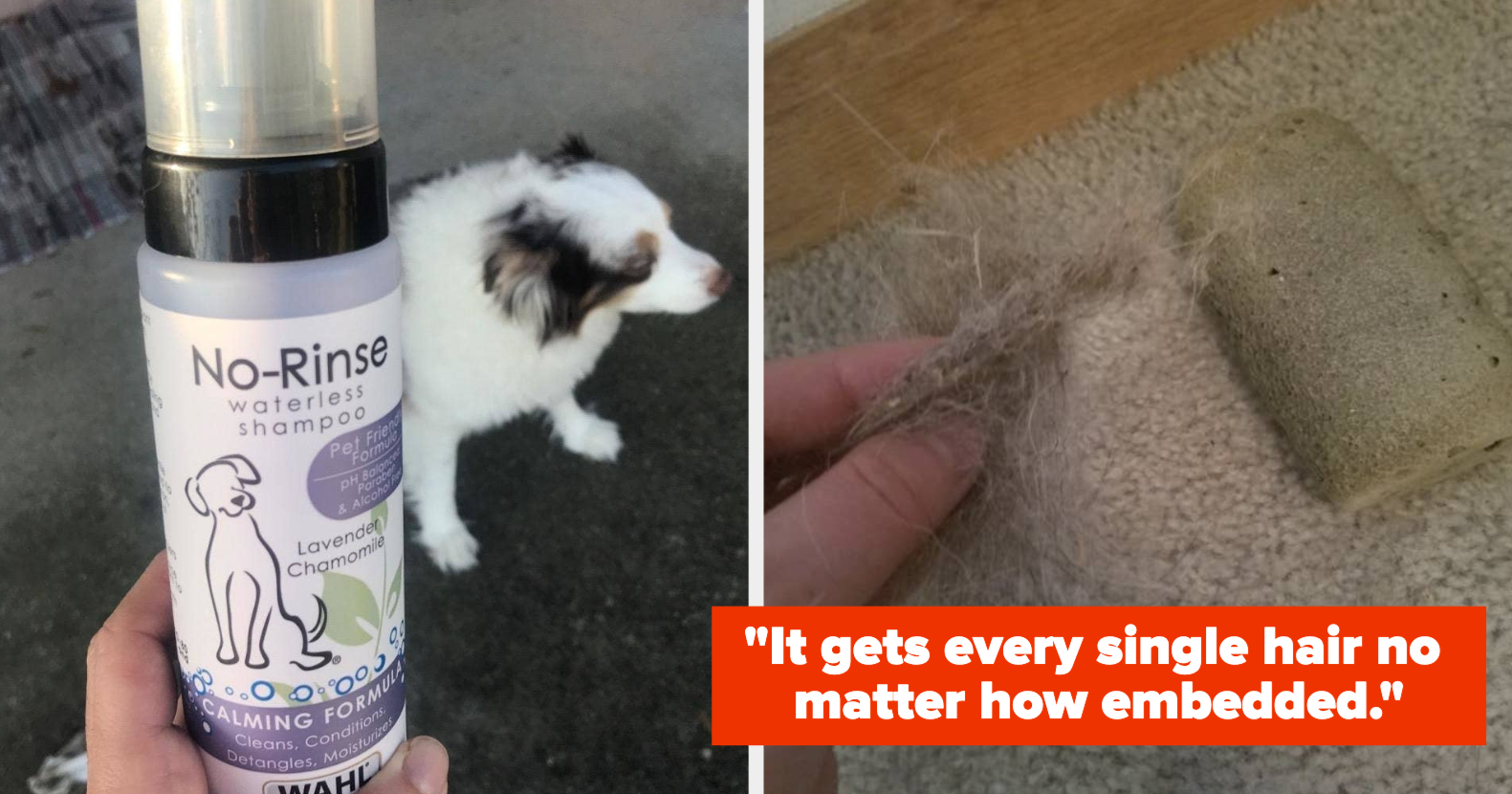 23 Home Cleaning Products If You Have Pets