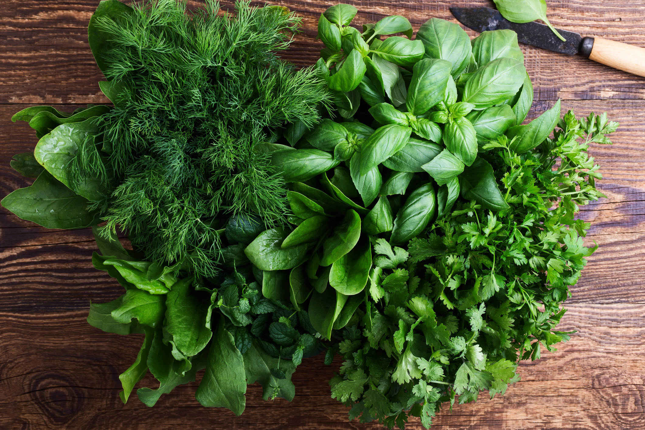 Spinach, sorrel, dill, mint, basil, parsley and cilantro on dark surface