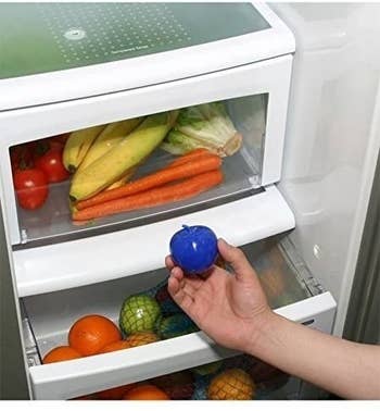 A person holding the BluApple product fresheners near their crisper drawer