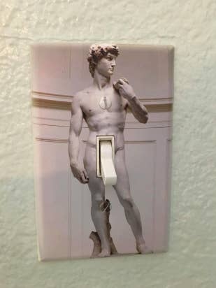 Reviewer image of standard light switch with plate cover over it, making it look like David&#x27;s ding dong is the switch
