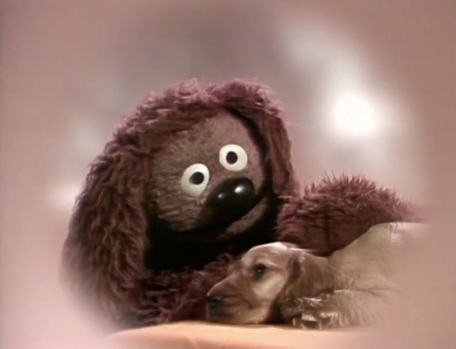 Rowlf comforts a puppy