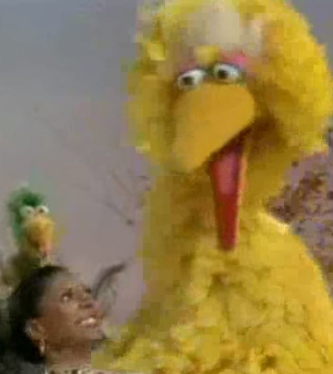 Leslie Uggams and Big Bird singing