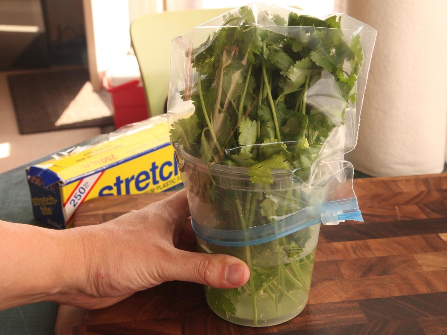 Cilantro stored upright in a jar of water and covered with a ziplock bag