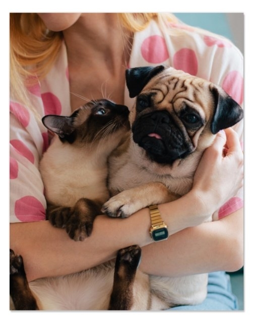 a puzzle of an owner hugging their dog and cat