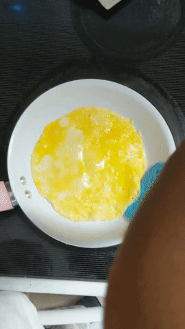 A GIF of someone flipping an omelets