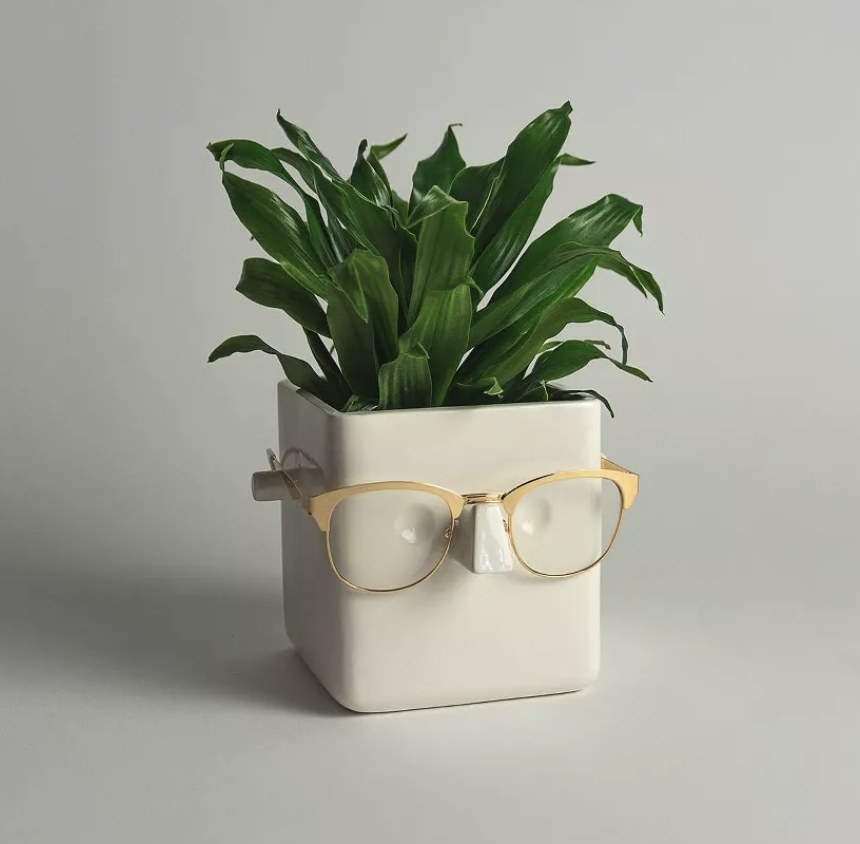 The planter with glasses on it