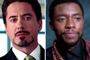 Tony Stark and T'Challa at press conferences