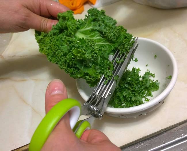 Reviewer using scissors to cut herbs