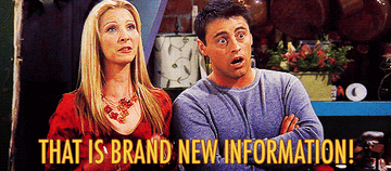 Phoebe from the TV show Friends saying &quot;That is Brand New Information&quot;