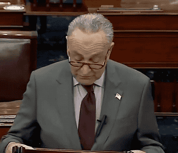 Chuck Schumer making a perturbed face