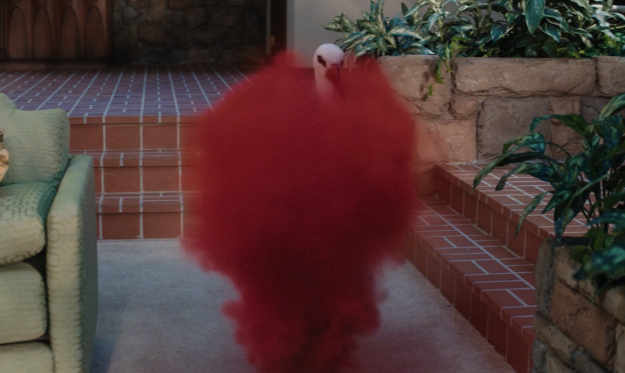 A stork surrounded by a cloud of red smoke